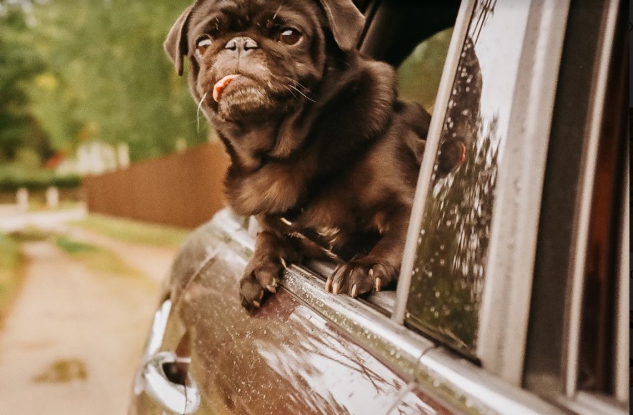 Dlaczego wakacje z i bez dzieci są ważne?