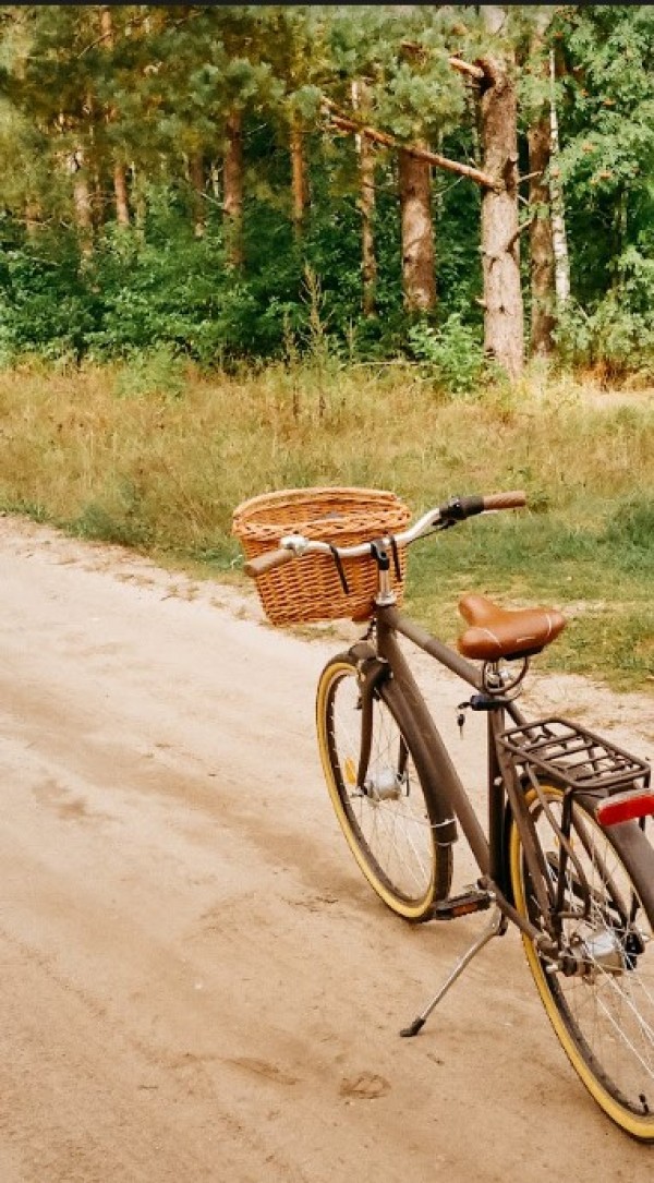 przygotowanie wakacji z dziećmi