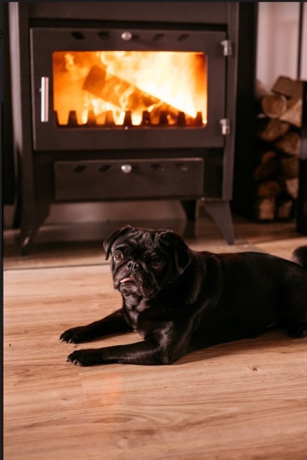Tydzień wolnego od pracy - spotkanie ze znajomymi bez wychodzenia z domu