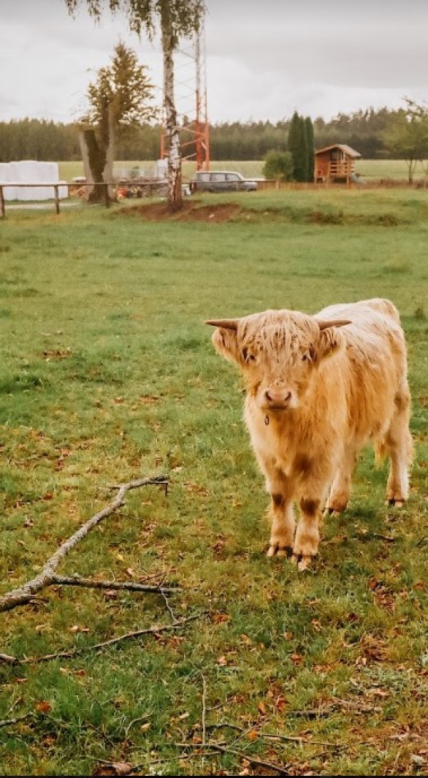 Budowanie relacji z dziećmi